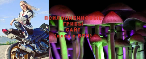 круглые Новодвинск