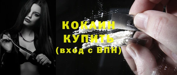 крисы Новозыбков