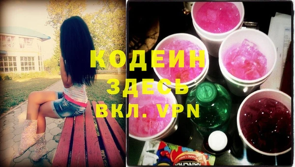 крисы Новозыбков