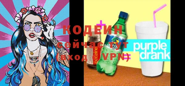крисы Новозыбков