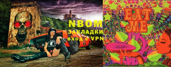 крисы Новозыбков