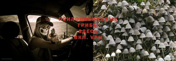 ALPHA-PVP Заводоуковск