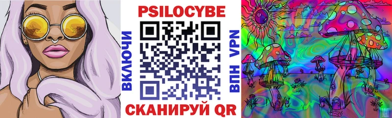 blacksprut вход  Кудрово  Псилоцибиновые грибы мицелий 