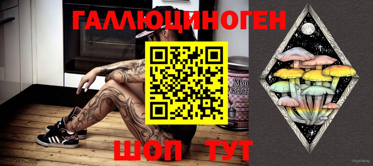 Галлюциногенные грибы Psilocybine cubensis Кудрово