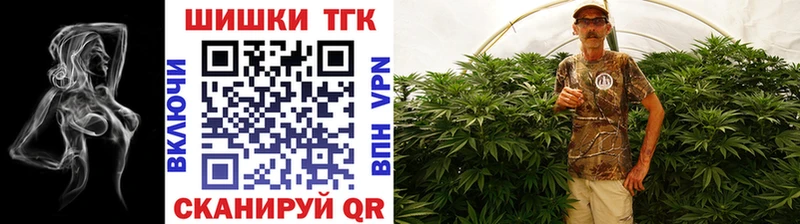 где найти наркотики  Кудрово  Канабис THC 21% 